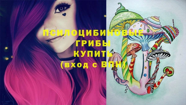 ГАЛЛЮЦИНОГЕННЫЕ ГРИБЫ Медвежьегорск