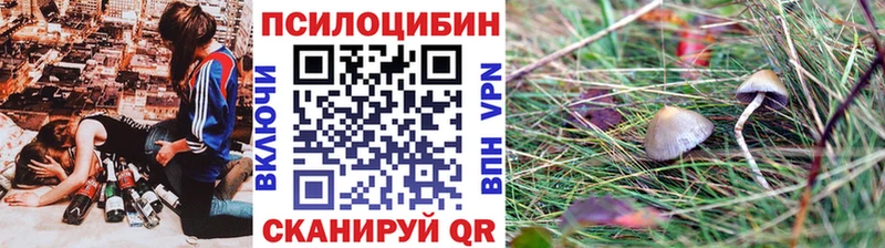 Галлюциногенные грибы Psilocybine cubensis  купить   Слюдянка 
